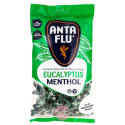 AntaFlu Pastilles Eucalyptus 165g