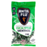 AntaFlu Pastilles Eucalyptus 165g