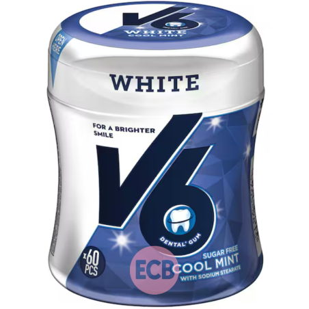 V6 Chewing gum Gum Menthe 87g