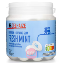Delhaize Chewing gum Freshmint Fourre 98g