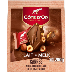 Côte d'Or Pralines Square Chocolate Hazelnut 200g