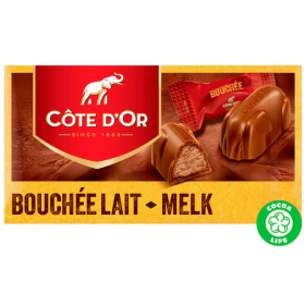 Côte d'Or Milk Chocolate Praline 200g