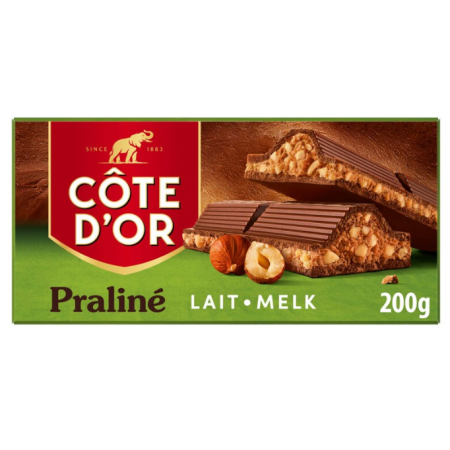 Côte d'Or Milk Chocolate PRALINE Hazelnuts 200g
